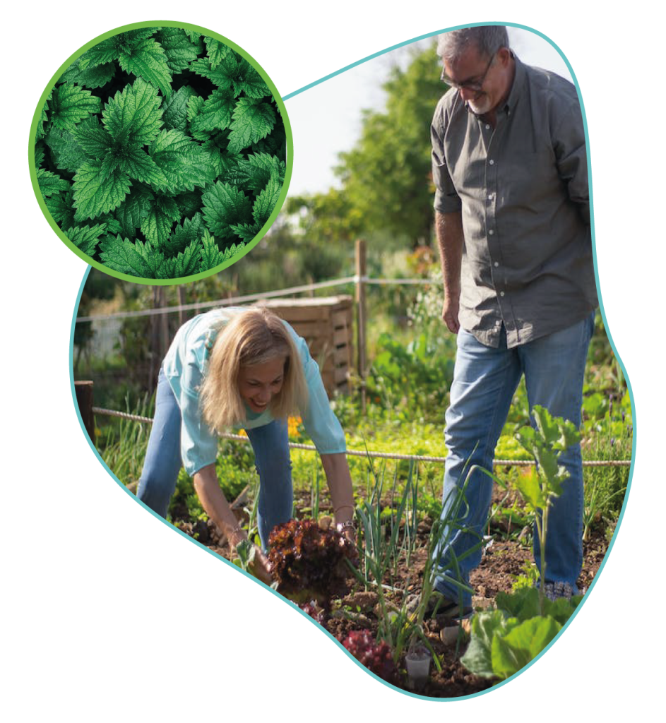 Agripur Purins et décoctions de plantes pour les particuliers